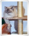 /album/benson/benson-06444-jpg/